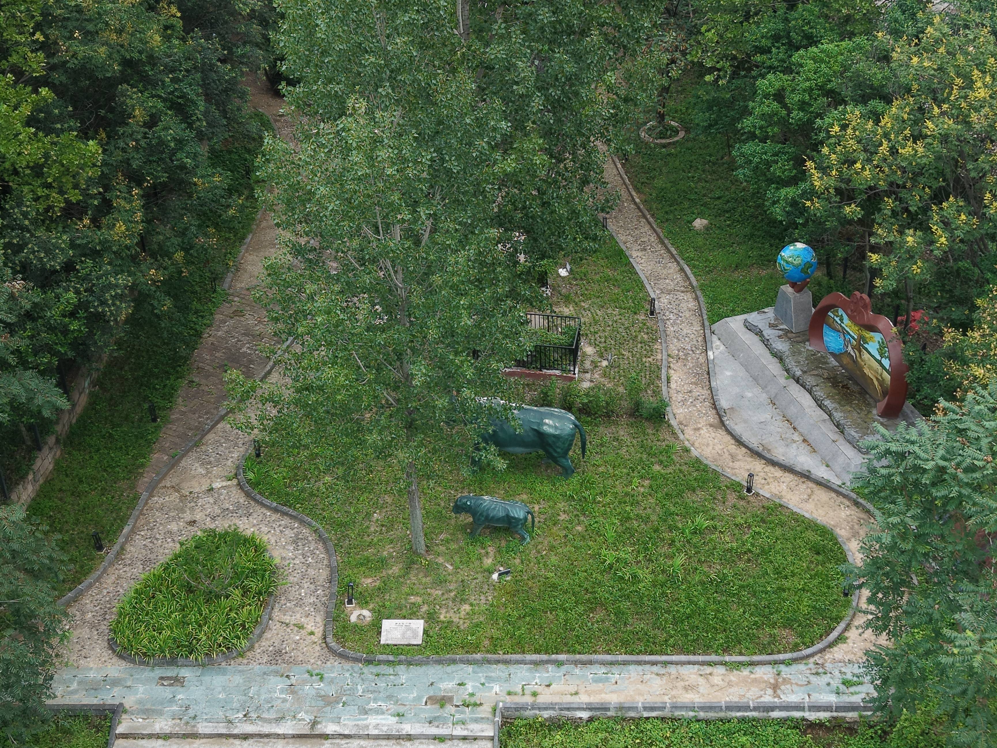 DJI_20250902153505_0008_D_副本.jpg
