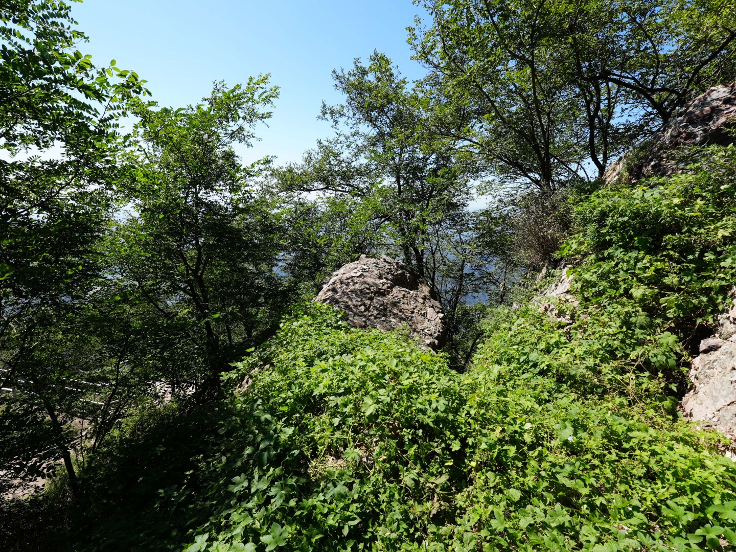 W020251013327503887907.jpg