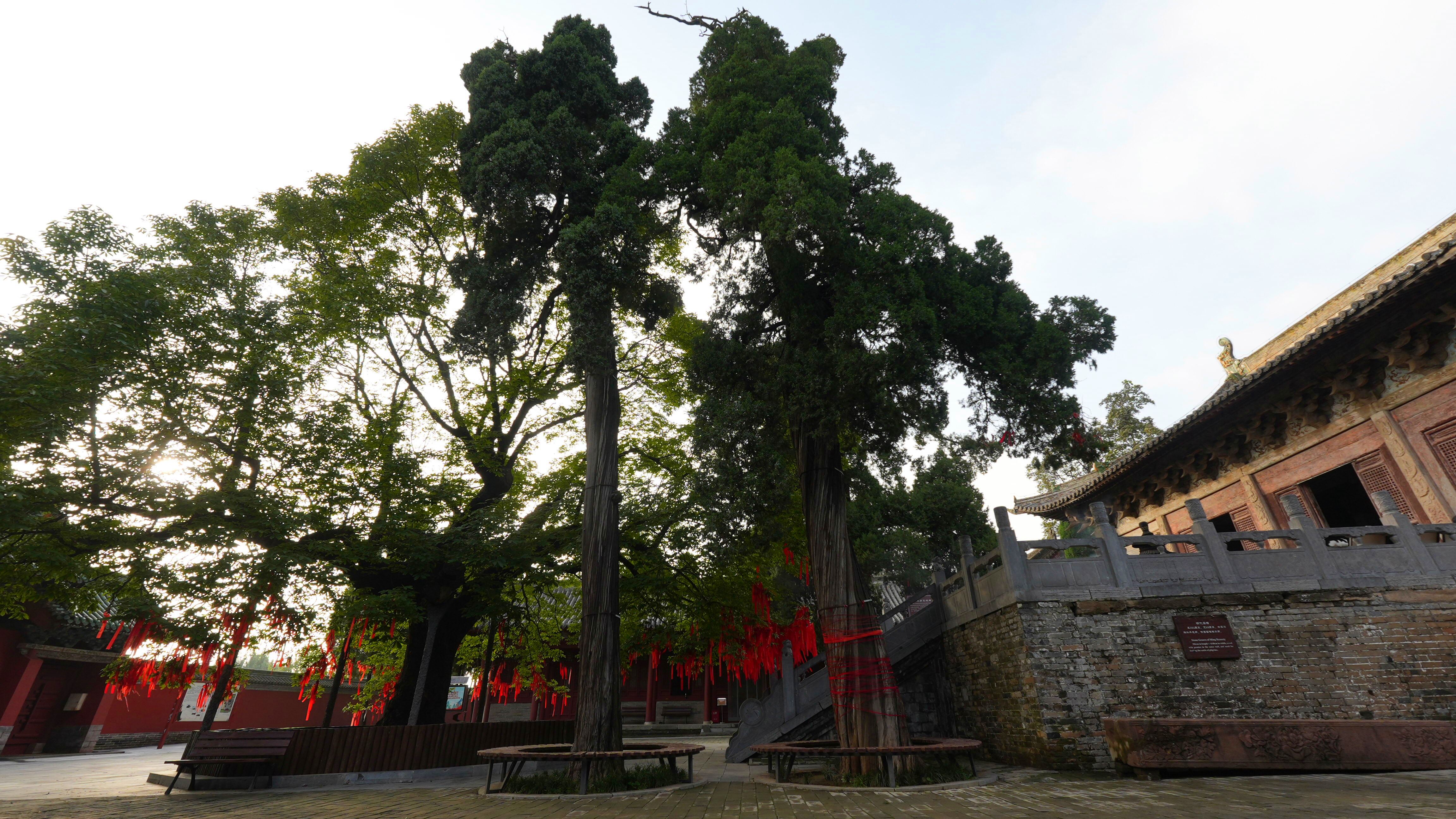 DSC02413_副本.jpg