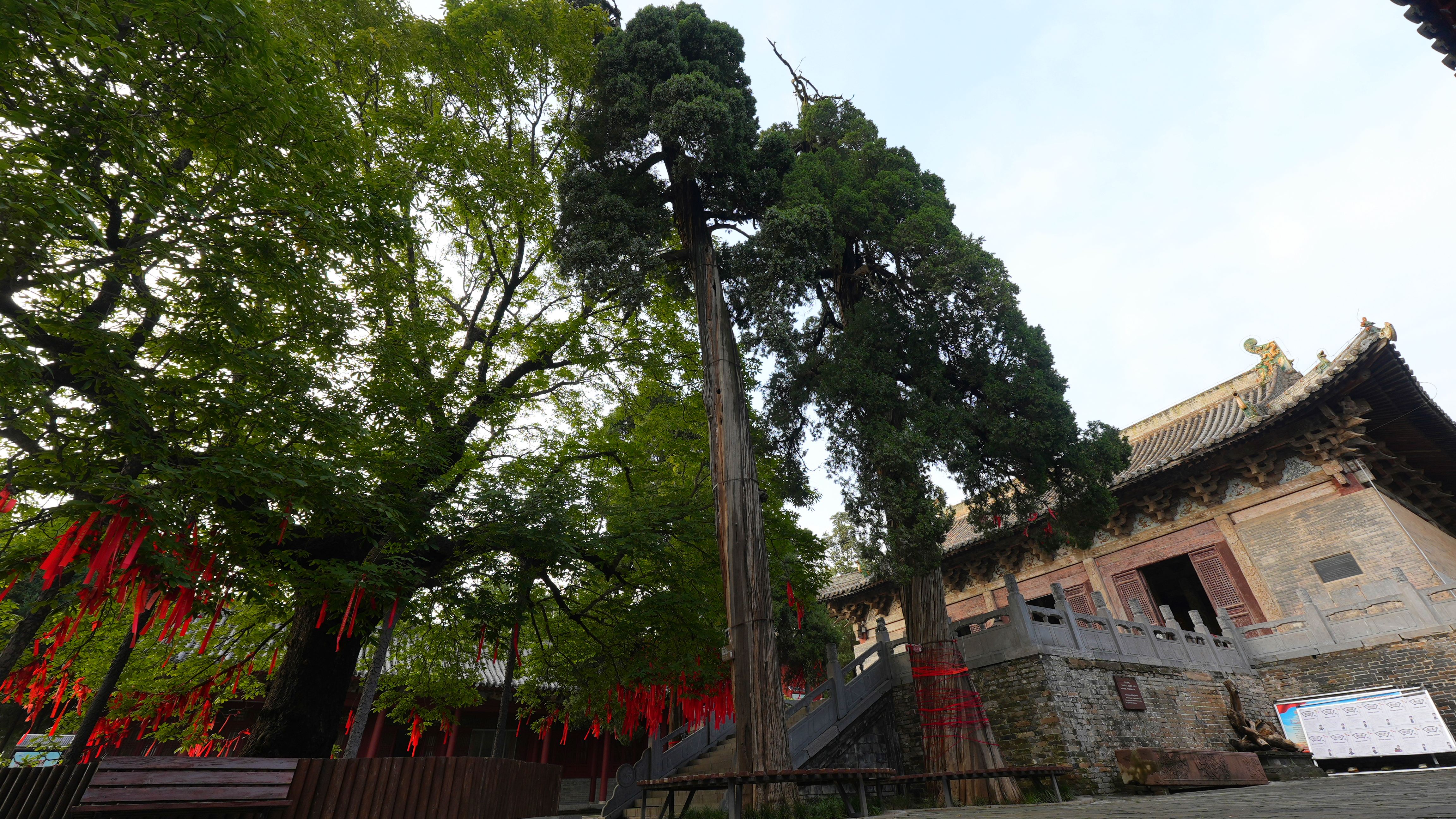 DSC02420_副本.jpg